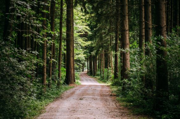 The Swiss National Parks: Discovering Switzerland